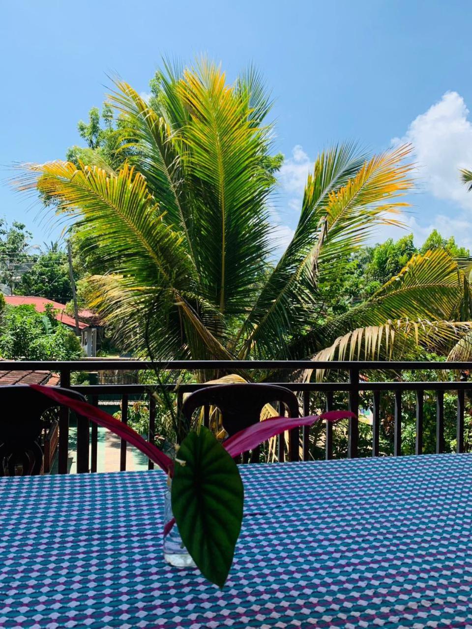 Hotel Ocean Breeze Dikwella Exterior foto